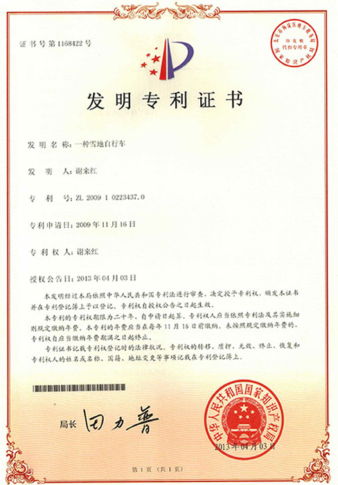 Snow Bike Kits Patent Certificate
